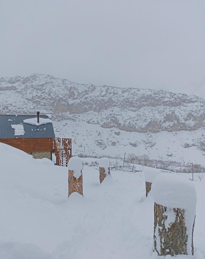 Cottage Toladi Kazbegi Exterior photo